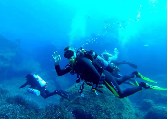 Apartment Sir William Reid Sliema